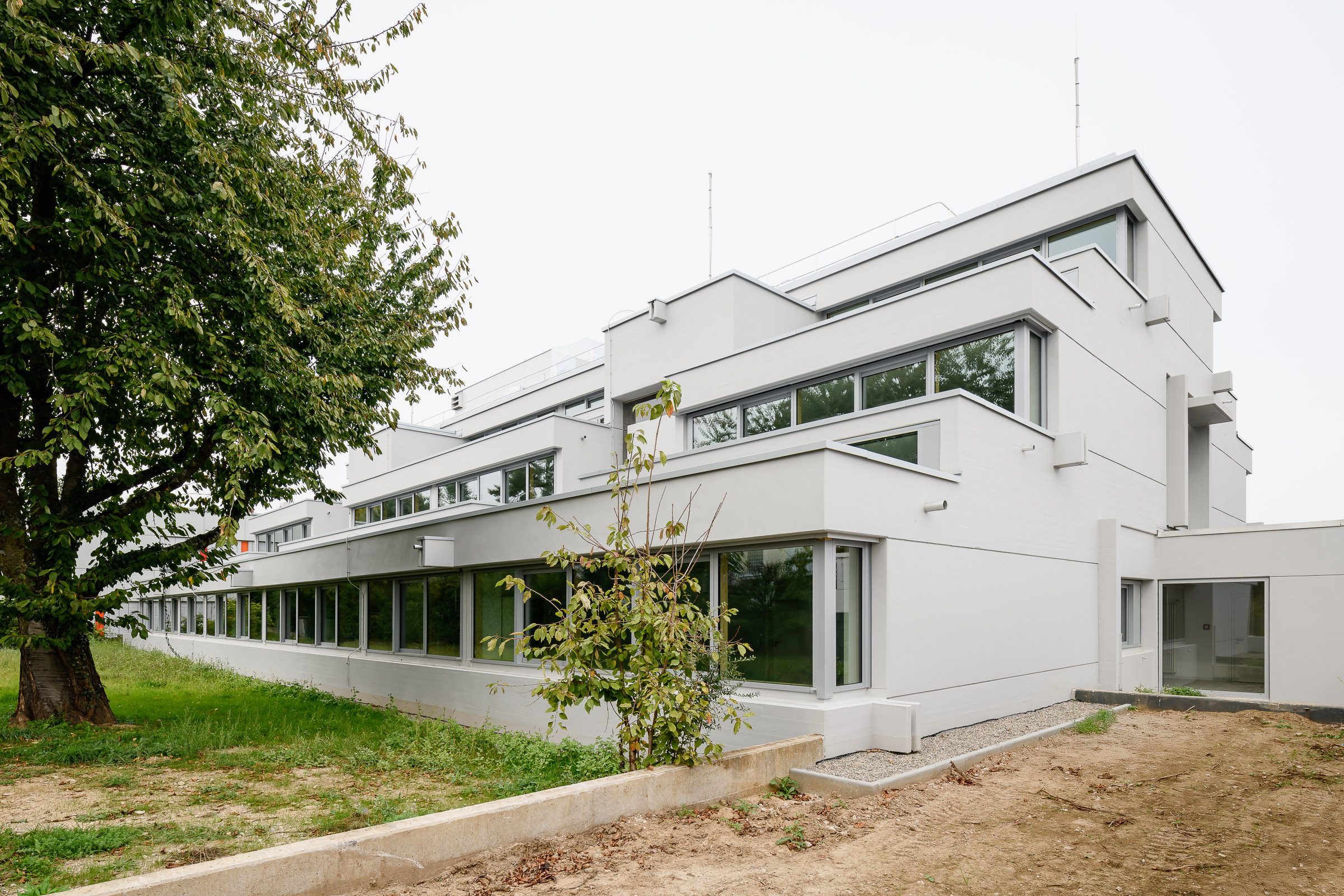 Sanierung des Bauteils B der Otto-Hahn-Schule Frankfurt Nieder-Eschbach - Berthold Scharrer Architektur
